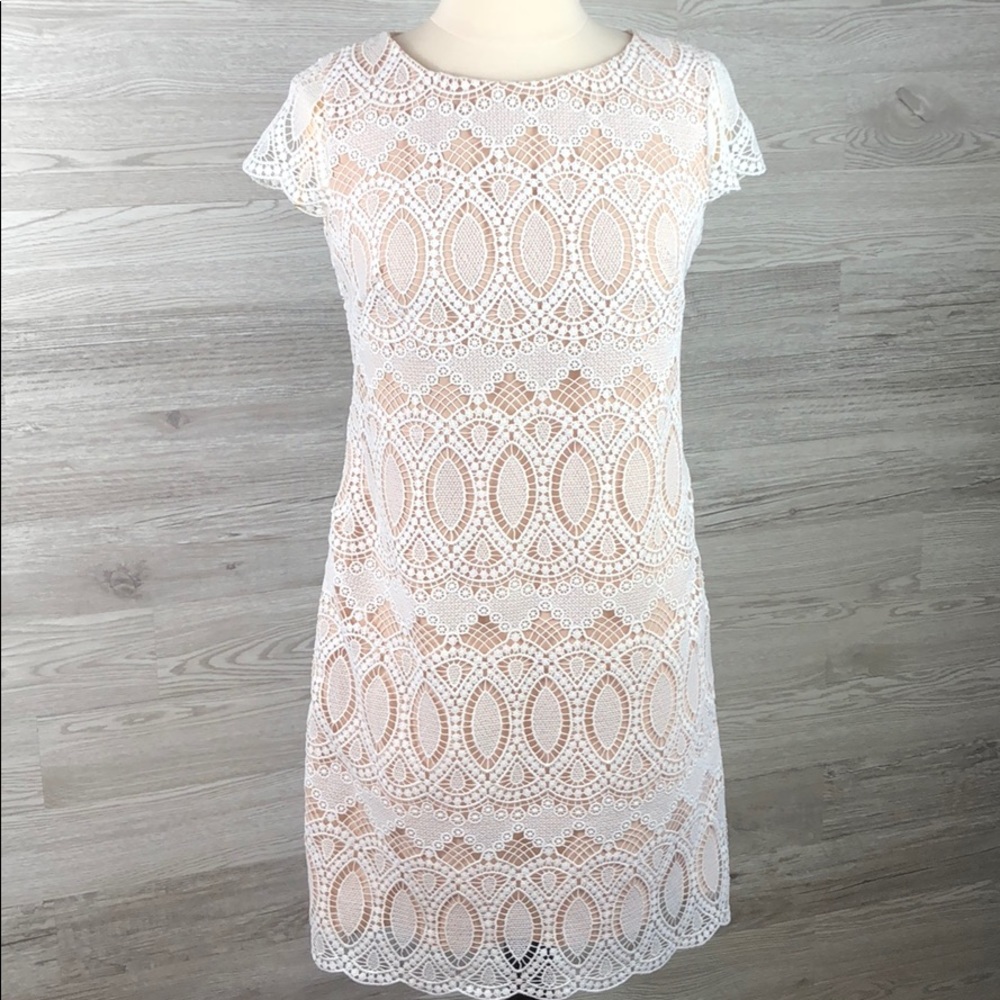 Lace Eliza J Dress Nude Lining